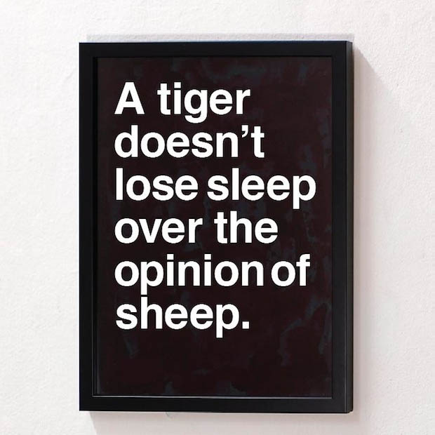A Tiger Doesn't Lose Sleep Over Sheep